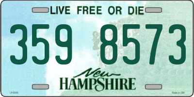 NH license plate 3598573