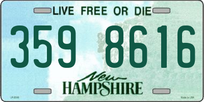 NH license plate 3598616