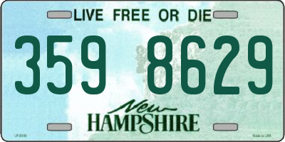 NH license plate 3598629