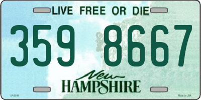 NH license plate 3598667