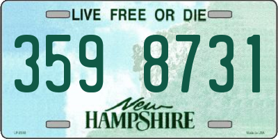 NH license plate 3598731