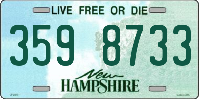 NH license plate 3598733