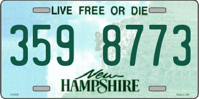 NH license plate 3598773