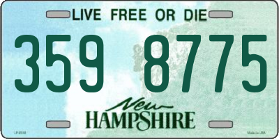 NH license plate 3598775