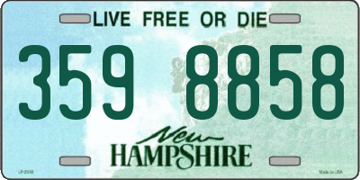 NH license plate 3598858