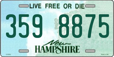 NH license plate 3598875
