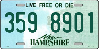 NH license plate 3598901