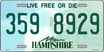 NH license plate 3598929