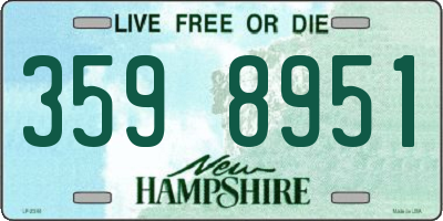 NH license plate 3598951