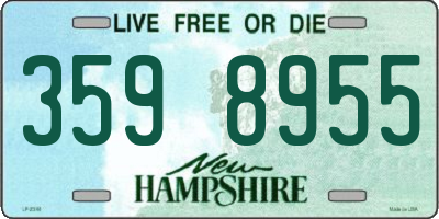 NH license plate 3598955