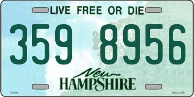 NH license plate 3598956