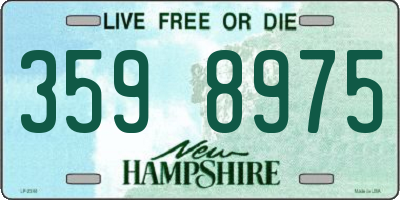 NH license plate 3598975