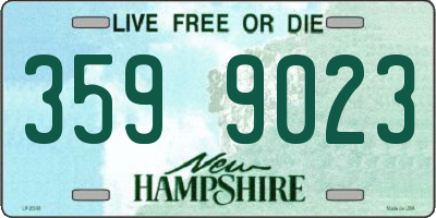 NH license plate 3599023