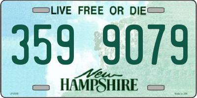 NH license plate 3599079