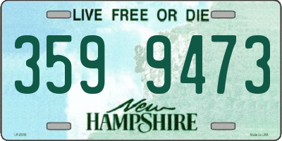 NH license plate 3599473