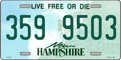 NH license plate 3599503