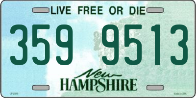 NH license plate 3599513