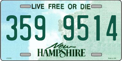 NH license plate 3599514
