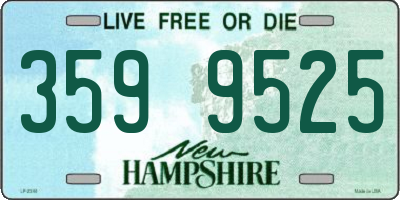 NH license plate 3599525