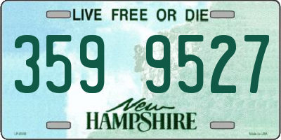 NH license plate 3599527