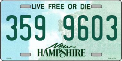 NH license plate 3599603