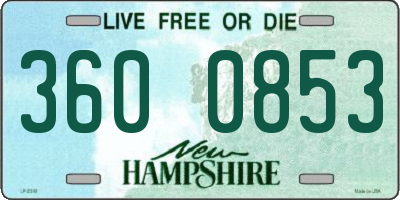NH license plate 3600853