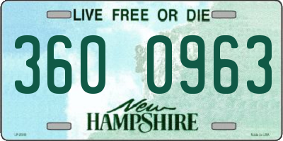 NH license plate 3600963