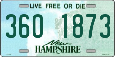 NH license plate 3601873