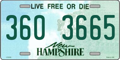 NH license plate 3603665