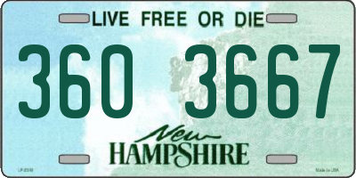 NH license plate 3603667
