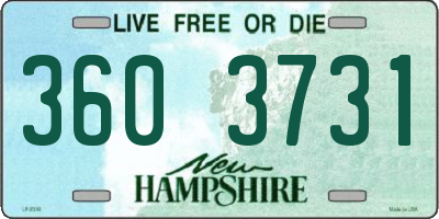 NH license plate 3603731