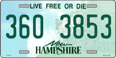 NH license plate 3603853