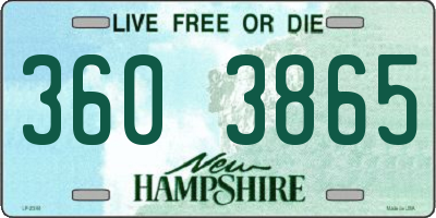 NH license plate 3603865