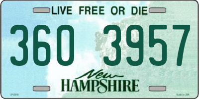 NH license plate 3603957