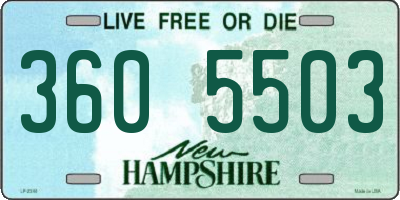 NH license plate 3605503