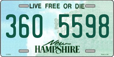 NH license plate 3605598