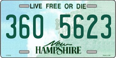NH license plate 3605623