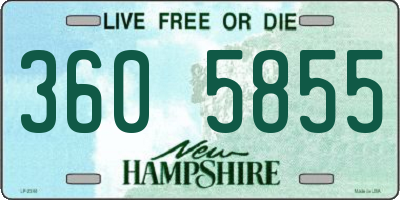 NH license plate 3605855