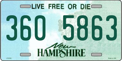 NH license plate 3605863