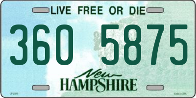 NH license plate 3605875