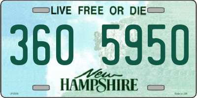 NH license plate 3605950