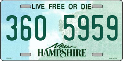 NH license plate 3605959