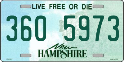 NH license plate 3605973