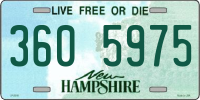 NH license plate 3605975