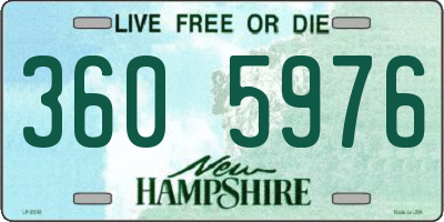 NH license plate 3605976