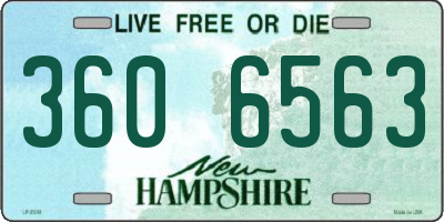 NH license plate 3606563