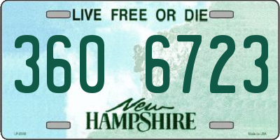 NH license plate 3606723