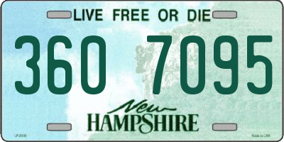 NH license plate 3607095