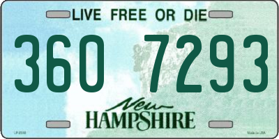 NH license plate 3607293