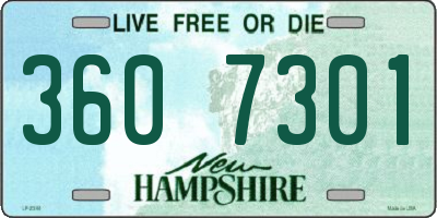 NH license plate 3607301